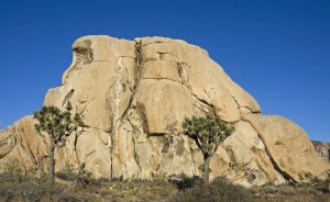 Intersection Rock in Joshua Tree West Face